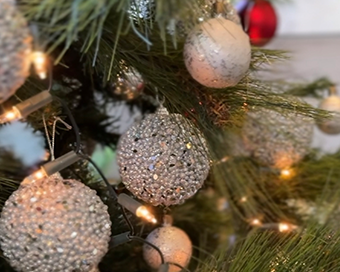 CELEBRACIONES DE DICIEMBRE